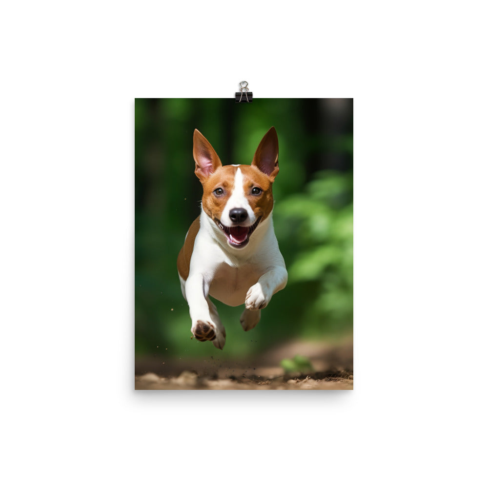 Running Basenji Photo paper poster - PosterfyAI.com