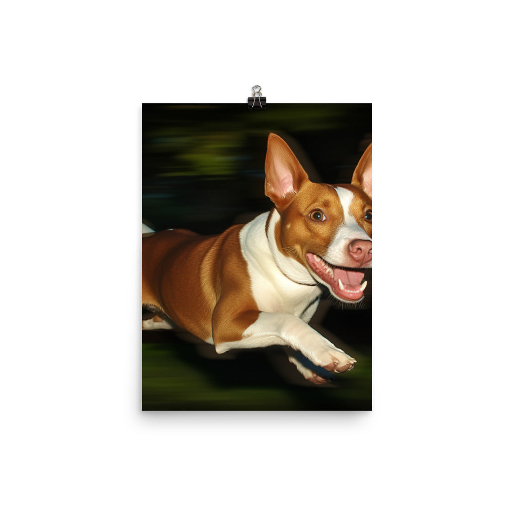 Running Basenji Photo paper poster - PosterfyAI.com