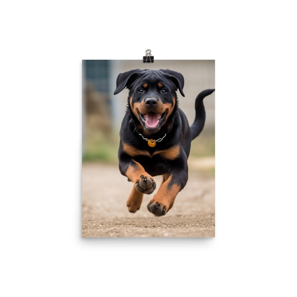 Rottweilers playful side in action Photo paper poster - PosterfyAI.com