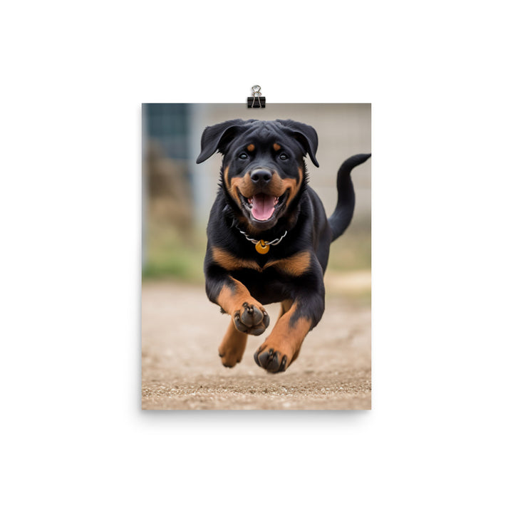 Rottweilers playful side in action Photo paper poster - PosterfyAI.com