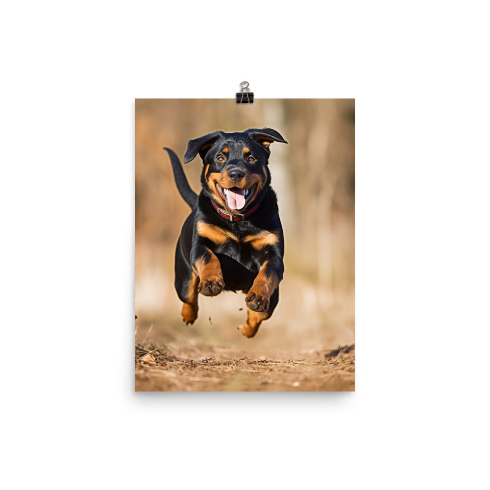 Rottweilers playful side in action Photo paper poster - PosterfyAI.com