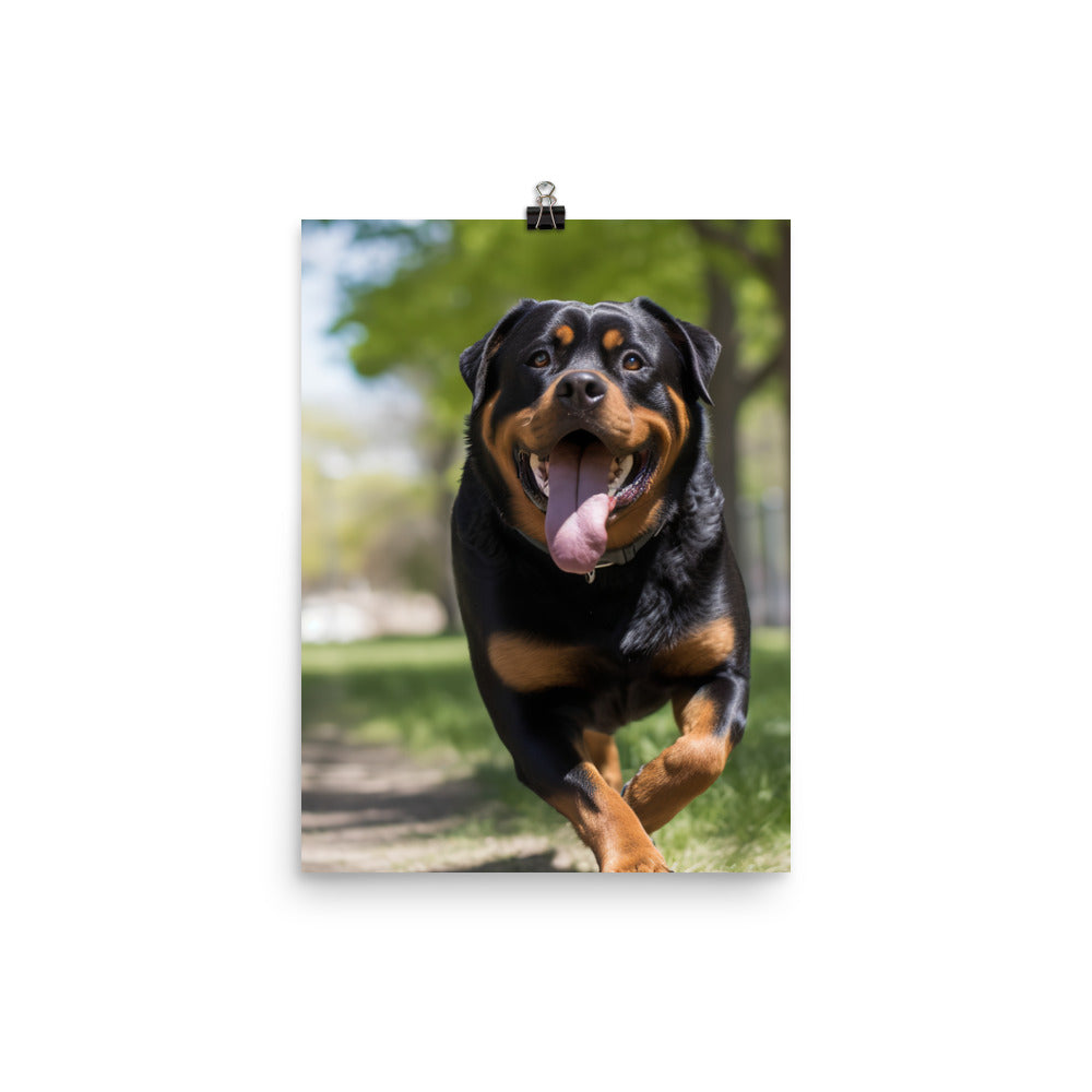 Rottweiler for a walk in the park Photo paper poster - PosterfyAI.com