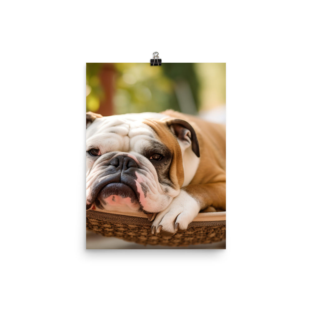 Relaxing Bulldog in the Hammock Photo paper poster - PosterfyAI.com