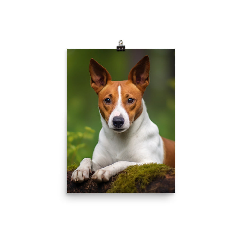 Relaxing Basenji Photo paper poster - PosterfyAI.com