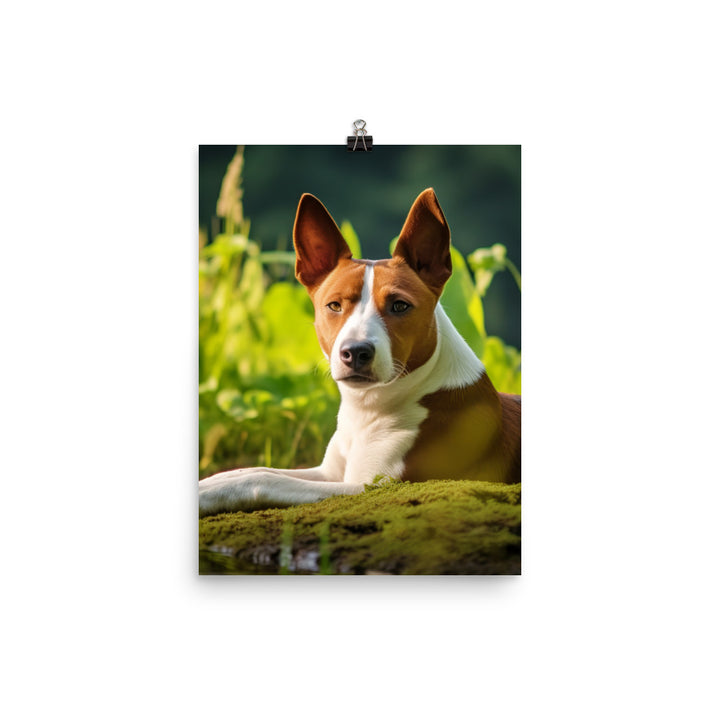 Relaxing Basenji Photo paper poster - PosterfyAI.com