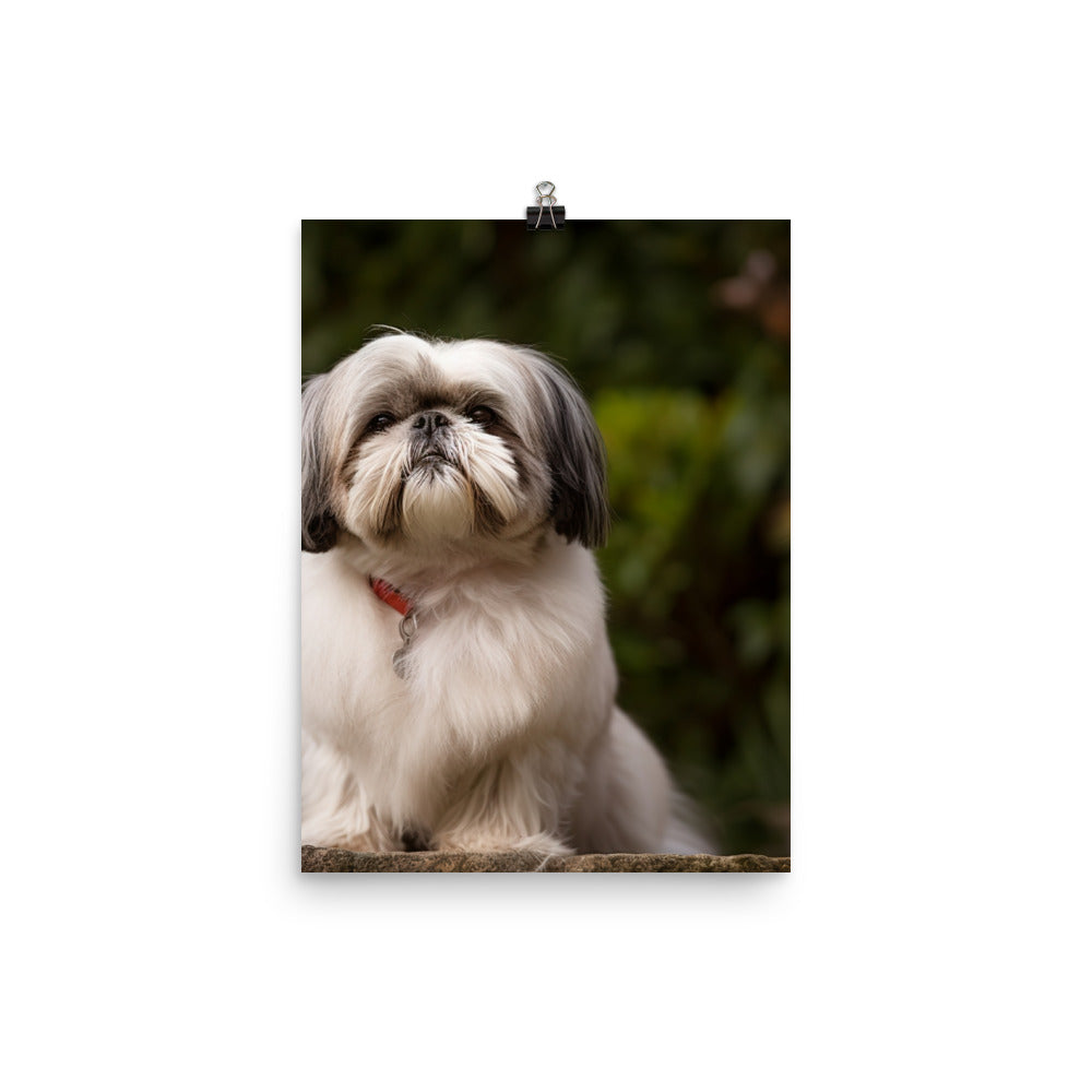 Regal Shih Tzu Posing in the Garden Photo paper poster - PosterfyAI.com