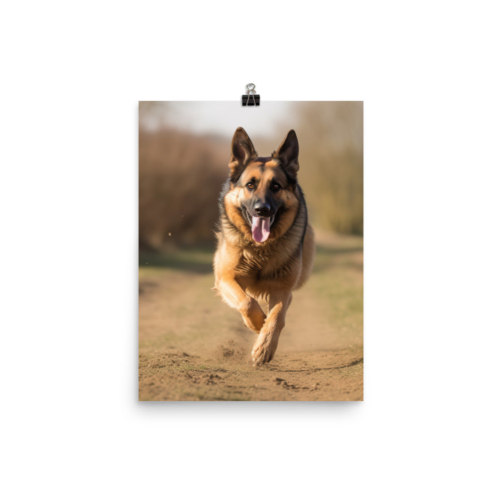 German Shepherd Photo paper poster - PosterfyAI.com