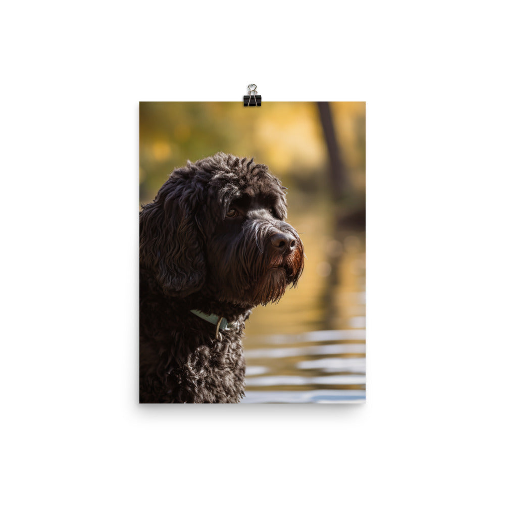 Portuguese Water Dog walk Photo paper poster - PosterfyAI.com