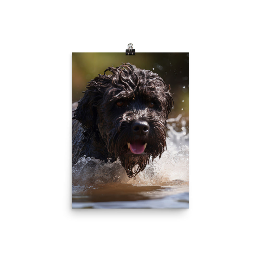 Portuguese Water Dog playing Photo paper poster - PosterfyAI.com