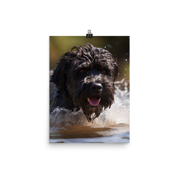 Portuguese Water Dog playing Photo paper poster - PosterfyAI.com