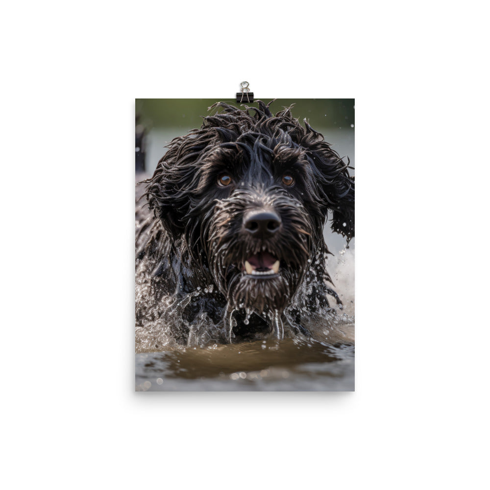 Portuguese Water Dog playing Photo paper poster - PosterfyAI.com