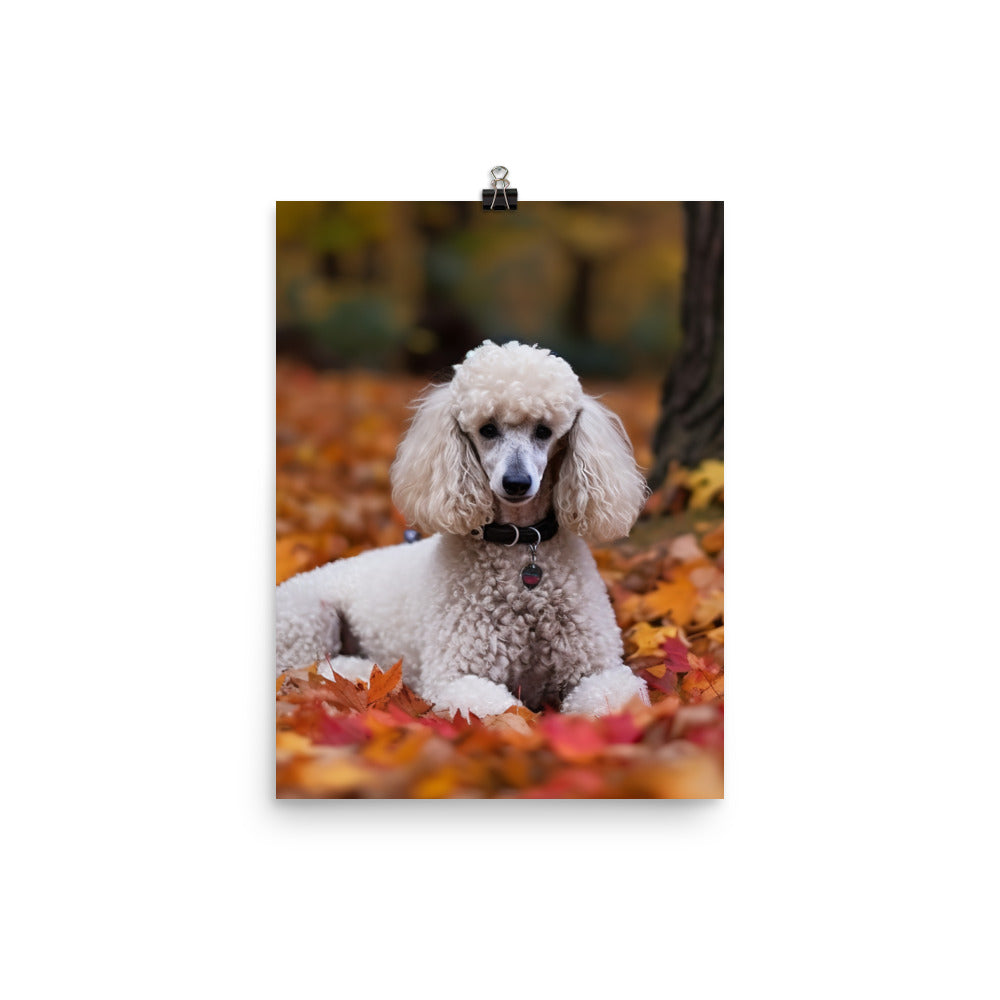Poodle in Autumn Leaves Photo paper poster - PosterfyAI.com