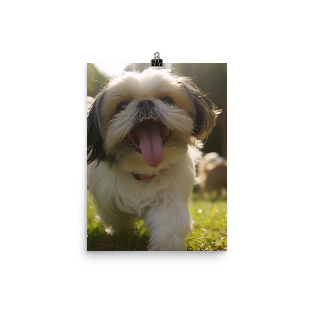 Playful Shih Tzu in a Park Photo paper poster - PosterfyAI.com