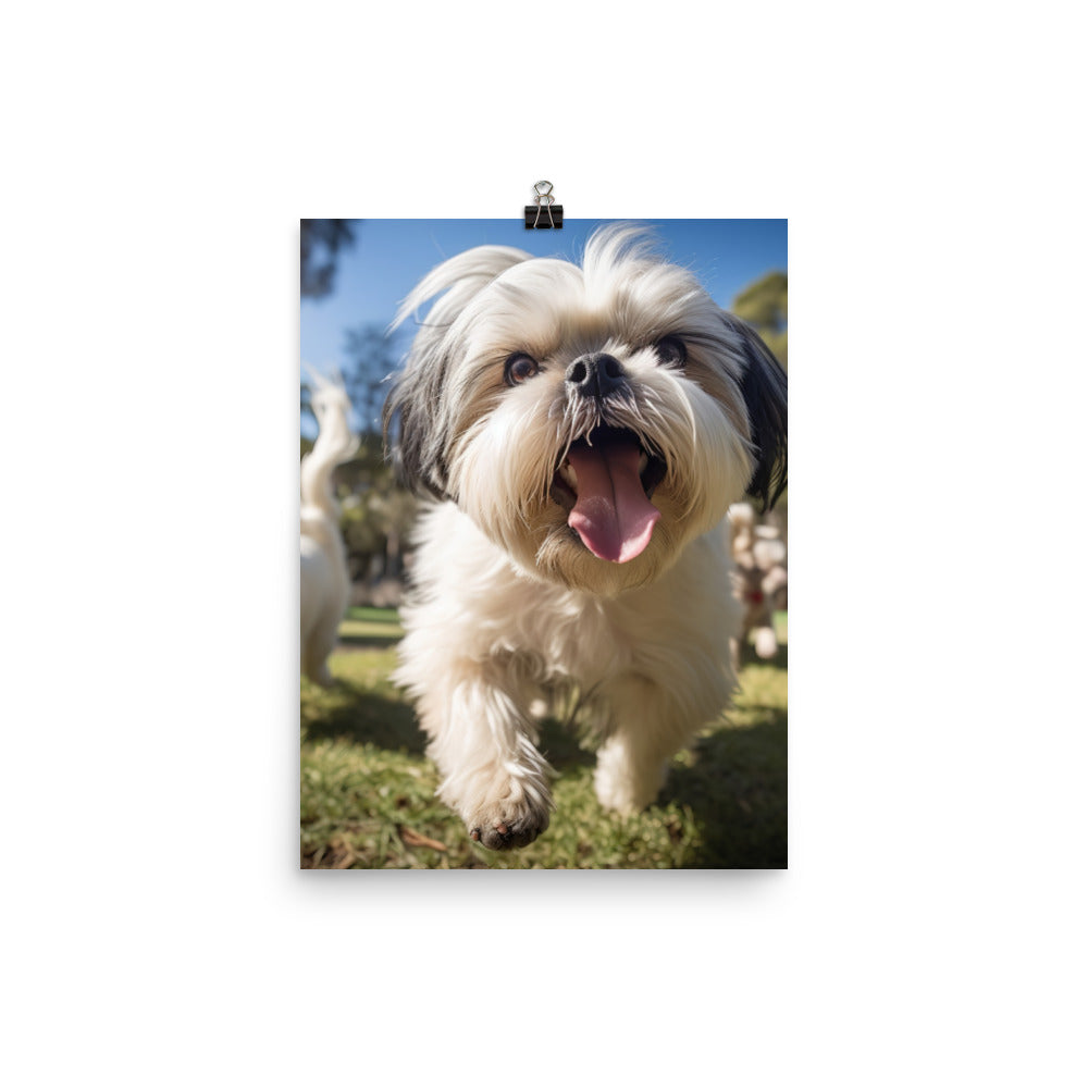Playful Shih Tzu in a Park Photo paper poster - PosterfyAI.com
