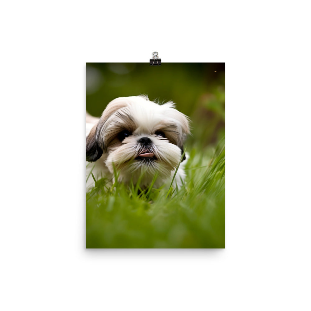 Playful Shih Tzu Enjoying the Outdoors Photo paper poster - PosterfyAI.com