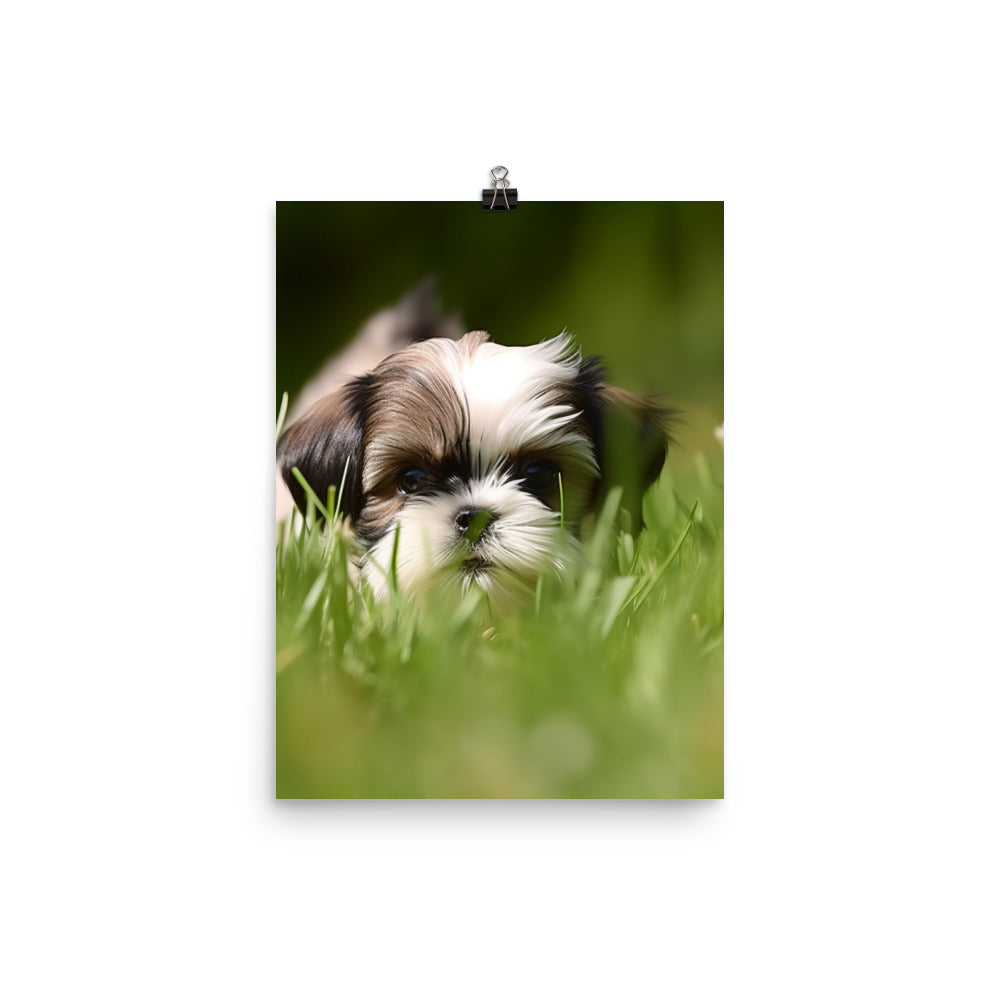 Playful Shih Tzu Enjoying the Outdoors Photo paper poster - PosterfyAI.com