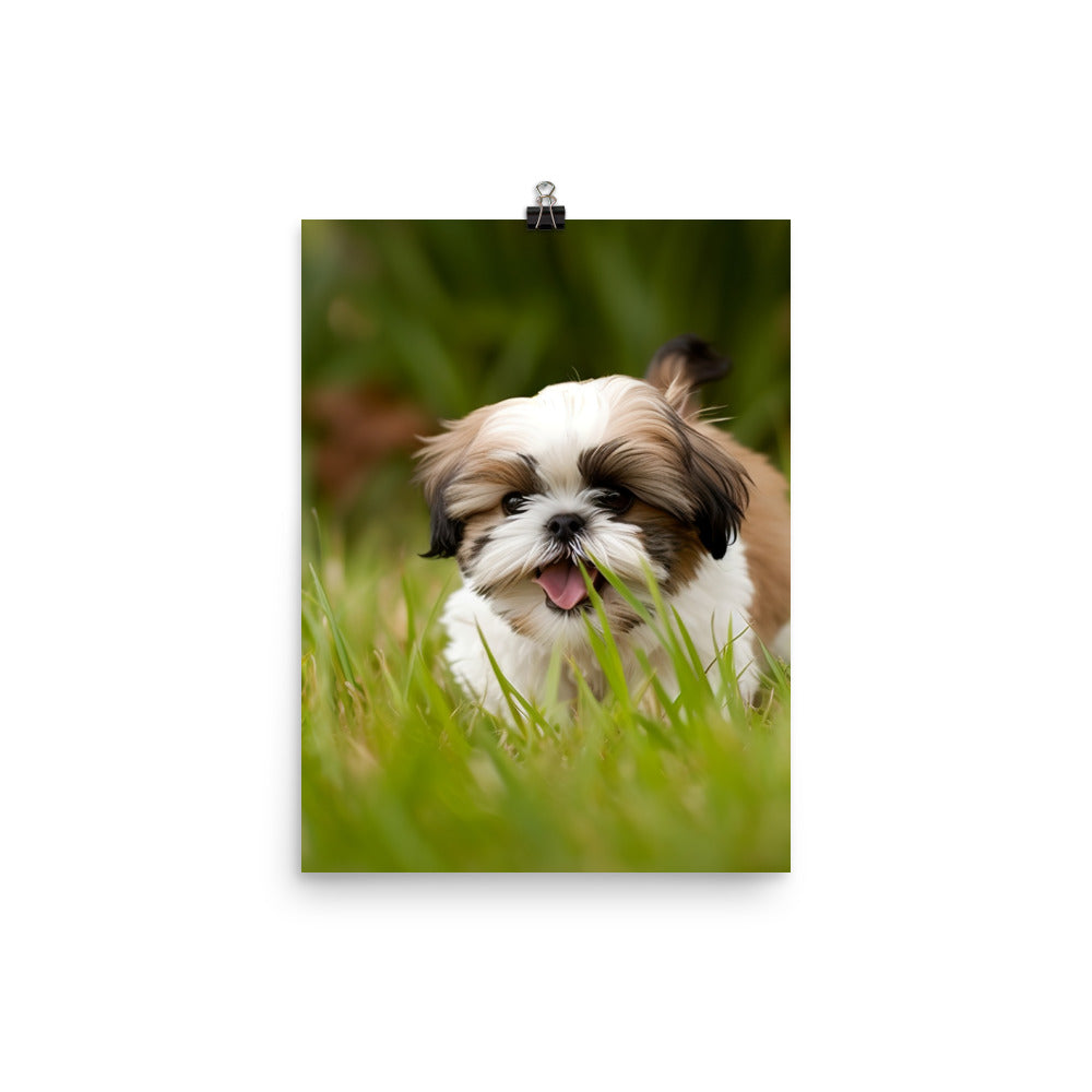 Playful Shih Tzu Enjoying the Outdoors Photo paper poster - PosterfyAI.com