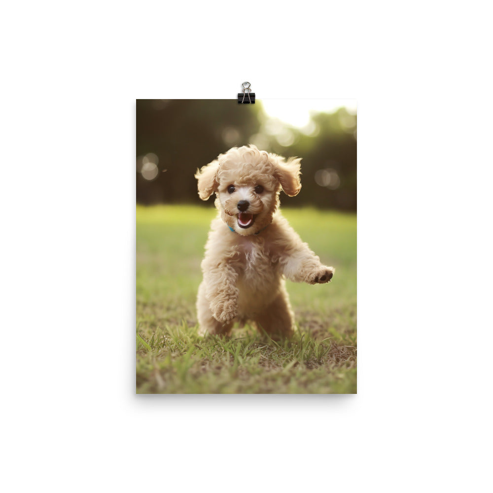 Playful Poodle Pup Photo paper poster - PosterfyAI.com