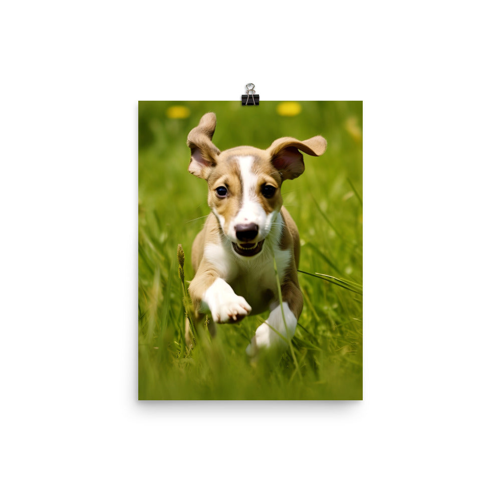 Playful Greyhound Pup Photo paper poster - PosterfyAI.com