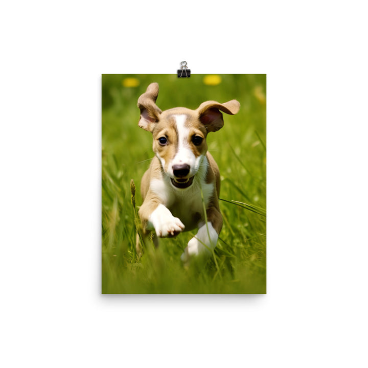 Playful Greyhound Pup Photo paper poster - PosterfyAI.com