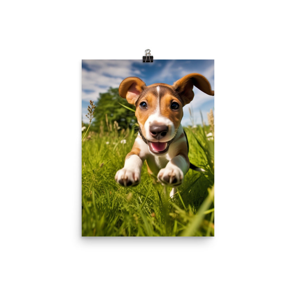 Playful Greyhound Pup Photo paper poster - PosterfyAI.com