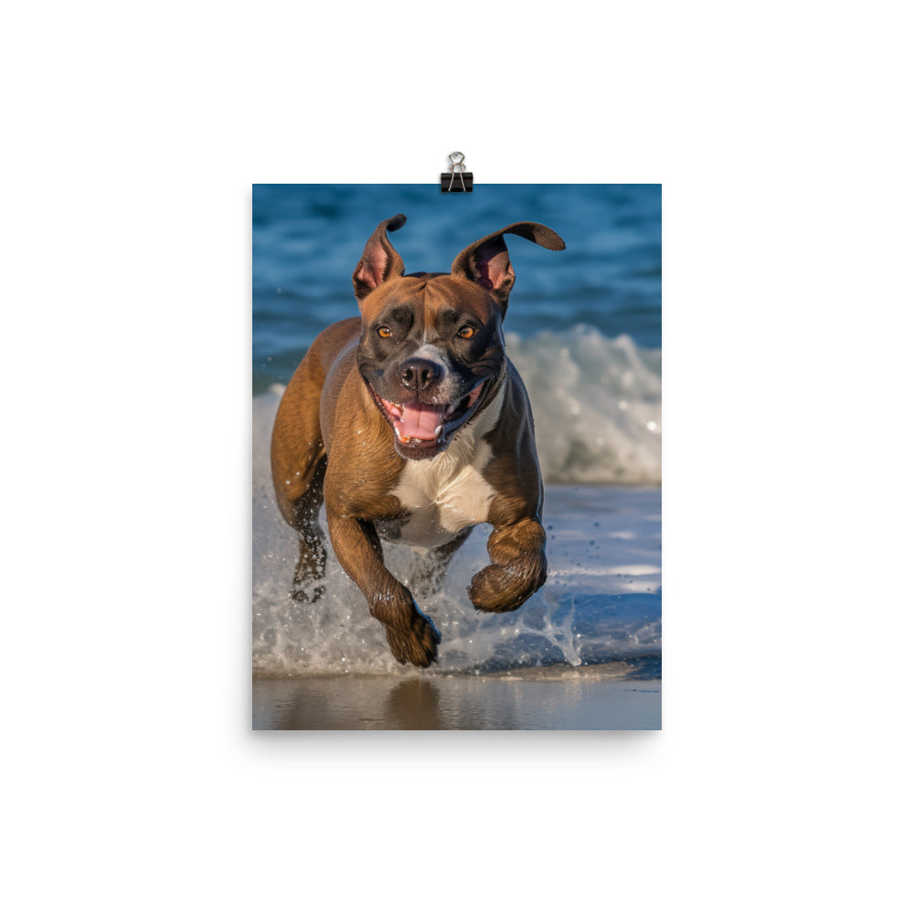 Playful American Staffordshire Terrier Photo paper poster - PosterfyAI.com