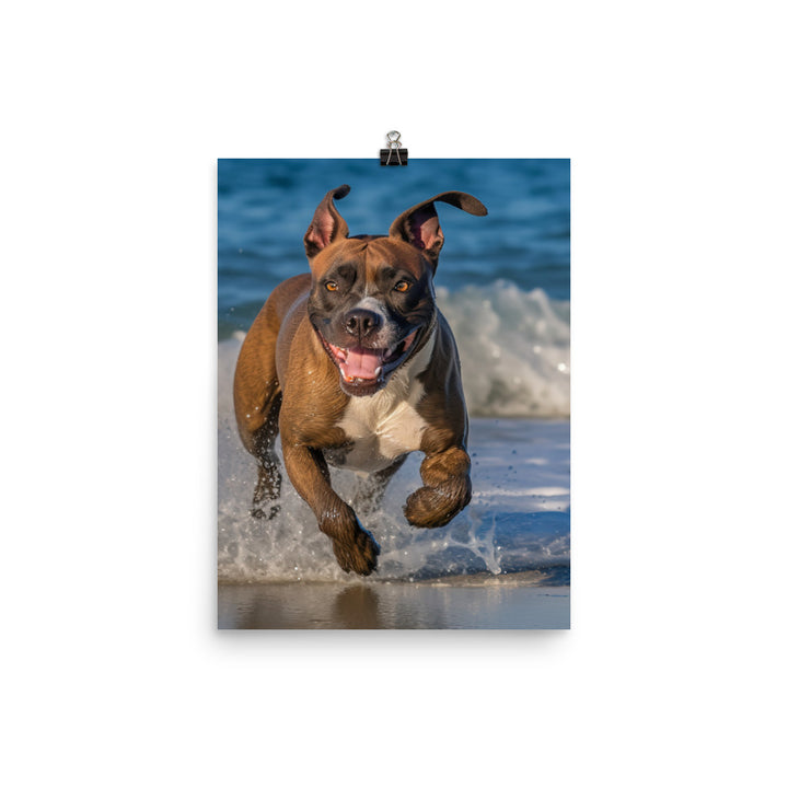 Playful American Staffordshire Terrier Photo paper poster - PosterfyAI.com