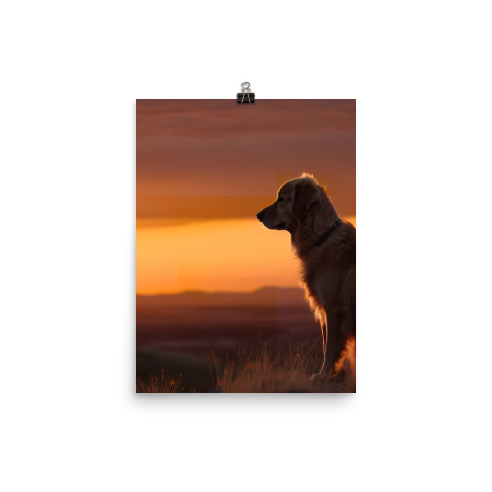 Majestic Golden Retriever at Sunset Photo paper poster - PosterfyAI.com