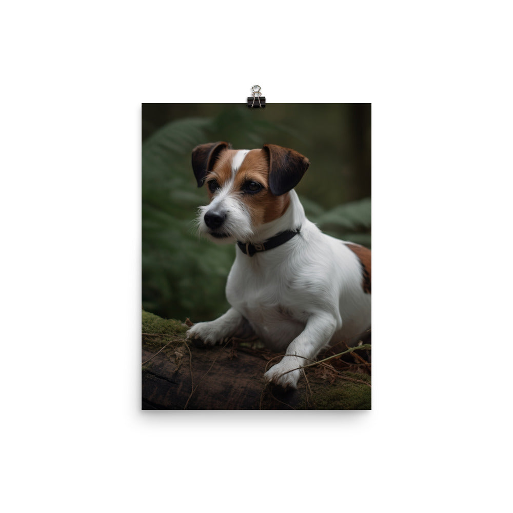 Loyal Jack Russell Terrier Photo paper poster - PosterfyAI.com