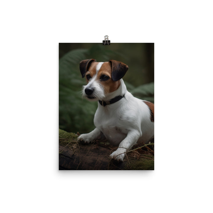 Loyal Jack Russell Terrier Photo paper poster - PosterfyAI.com