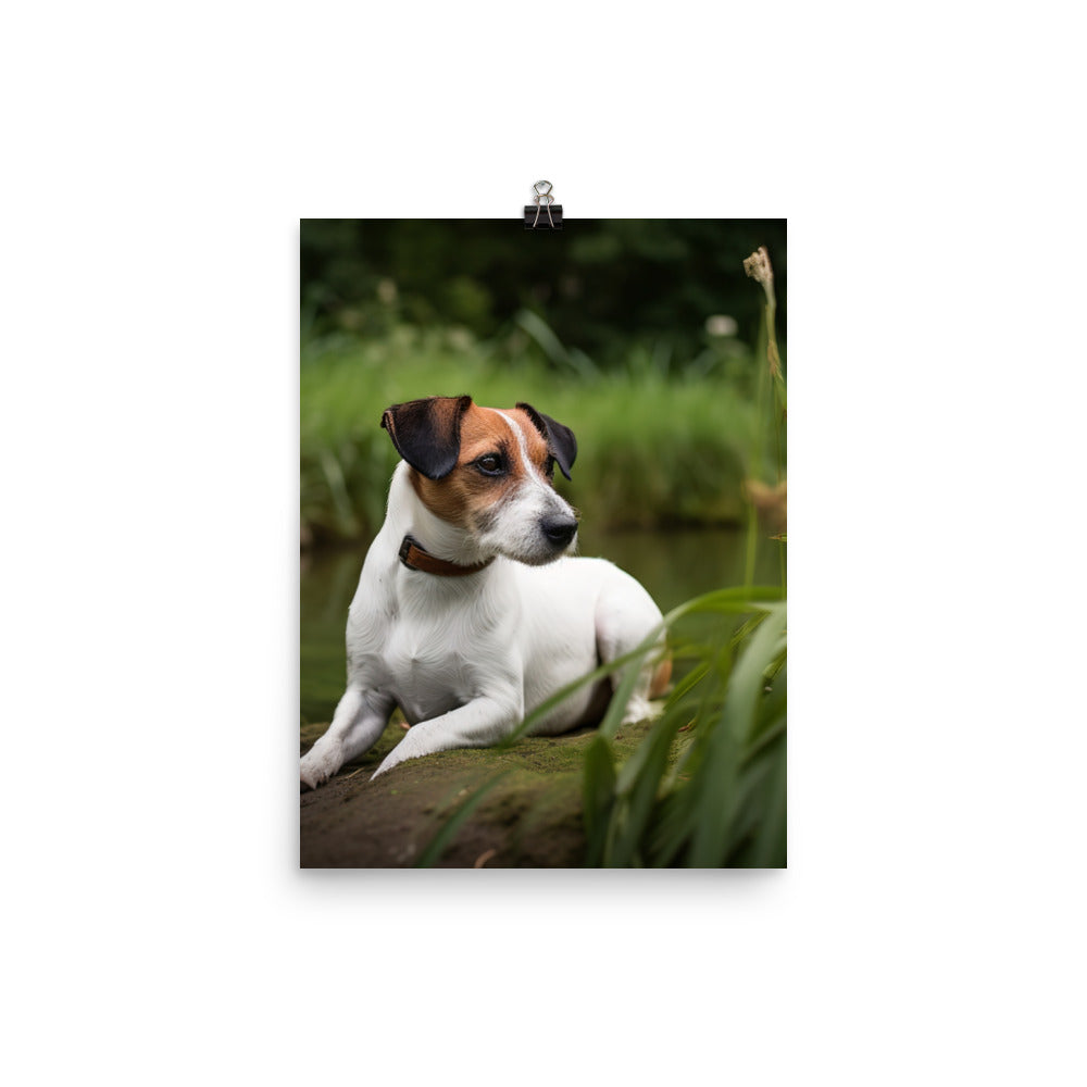 Loyal Jack Russell Terrier Photo paper poster - PosterfyAI.com