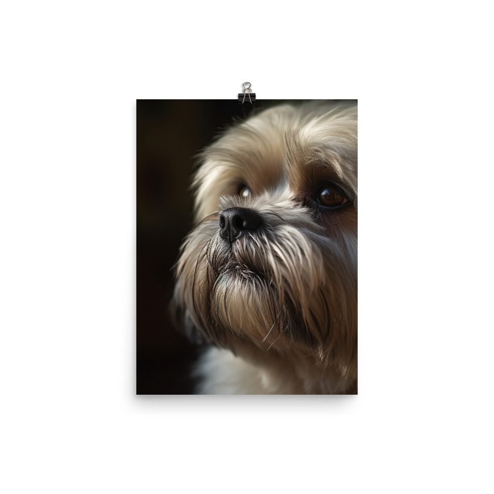 Lhasa Apso Gaze Photo paper poster - PosterfyAI.com