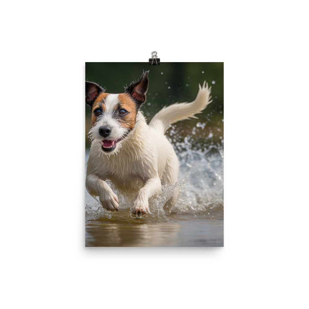 Jack Russell Terriers Comical Expression Photo paper poster - PosterfyAI.com