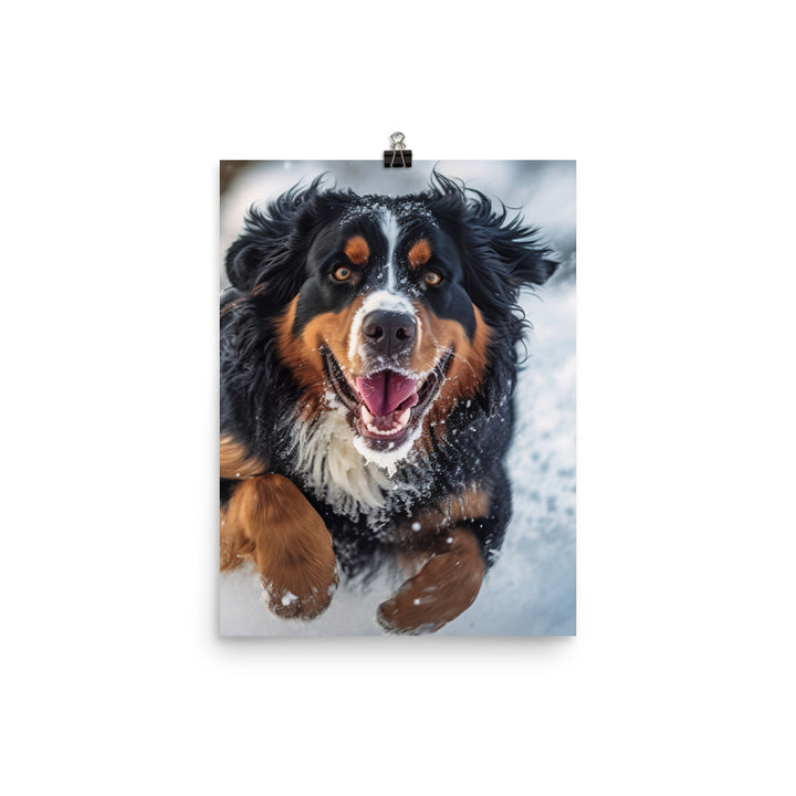 Happy Bernese Mountain Dog Photo paper poster - PosterfyAI.com