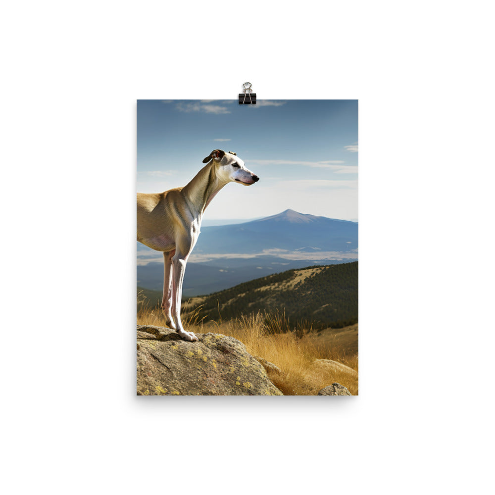 Greyhound in Nature Photo paper poster - PosterfyAI.com