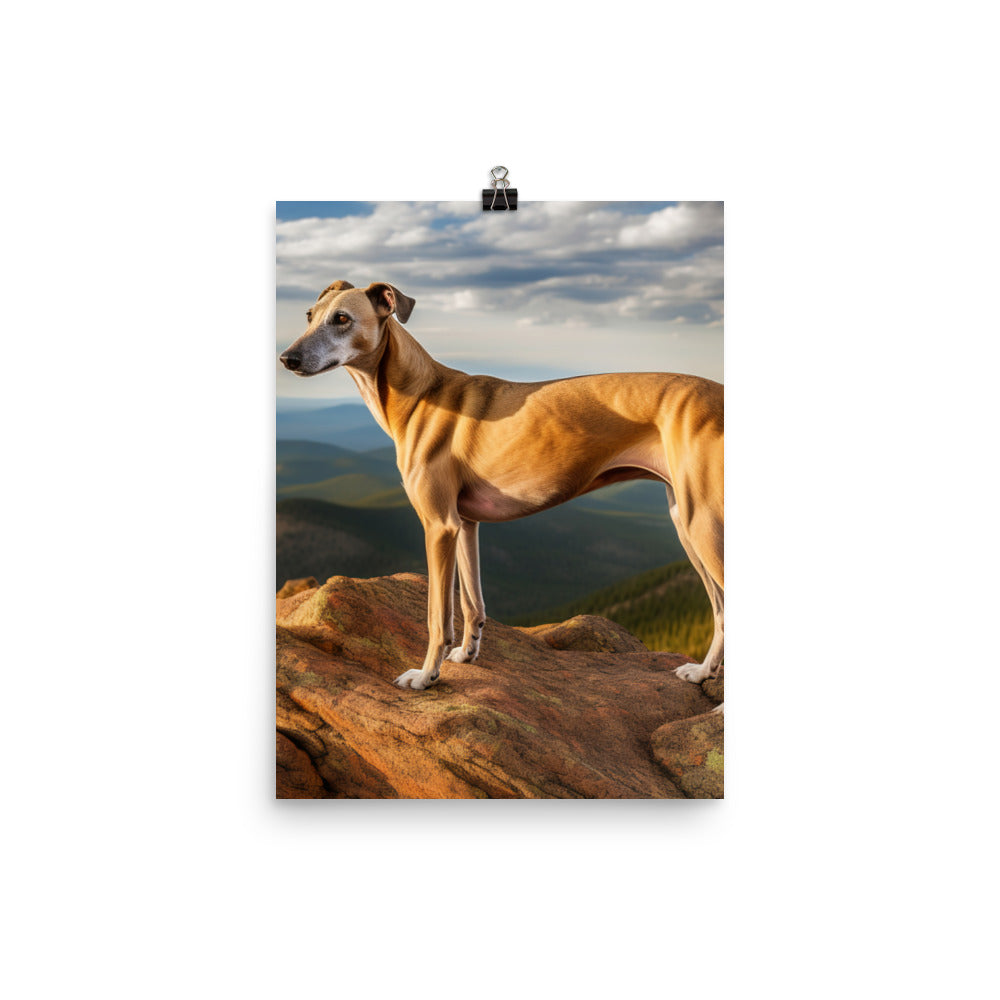 Greyhound in Nature Photo paper poster - PosterfyAI.com