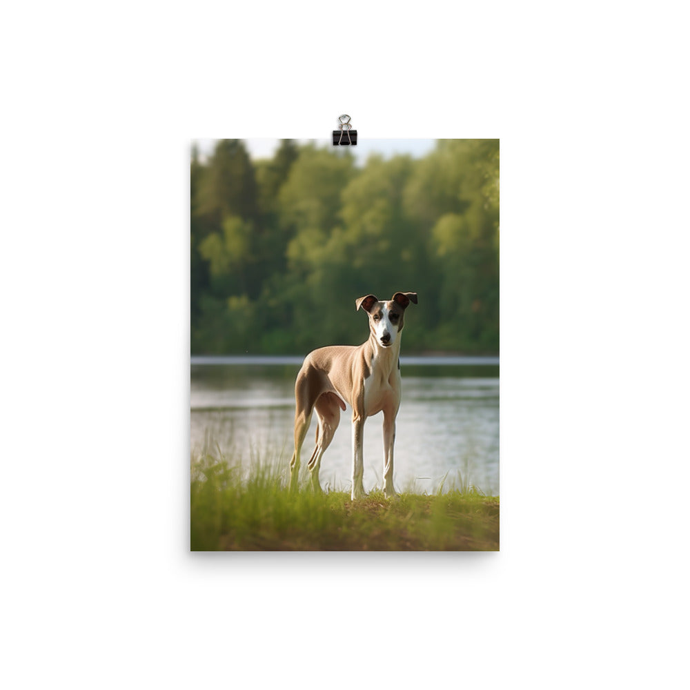 Greyhound by the Lake Photo paper poster - PosterfyAI.com