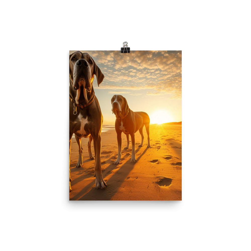 Great Danes at Sunset Photo paper poster - PosterfyAI.com