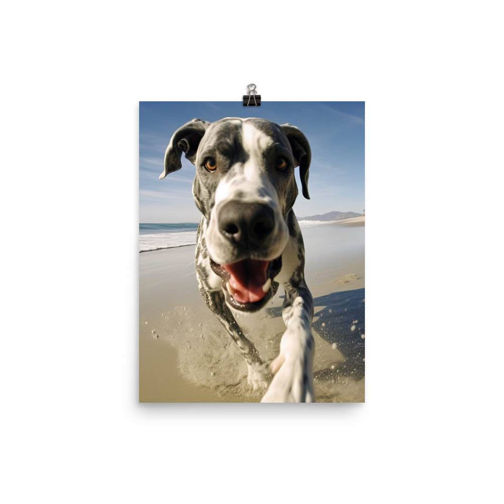 Great Dane at Play Photo paper poster - PosterfyAI.com