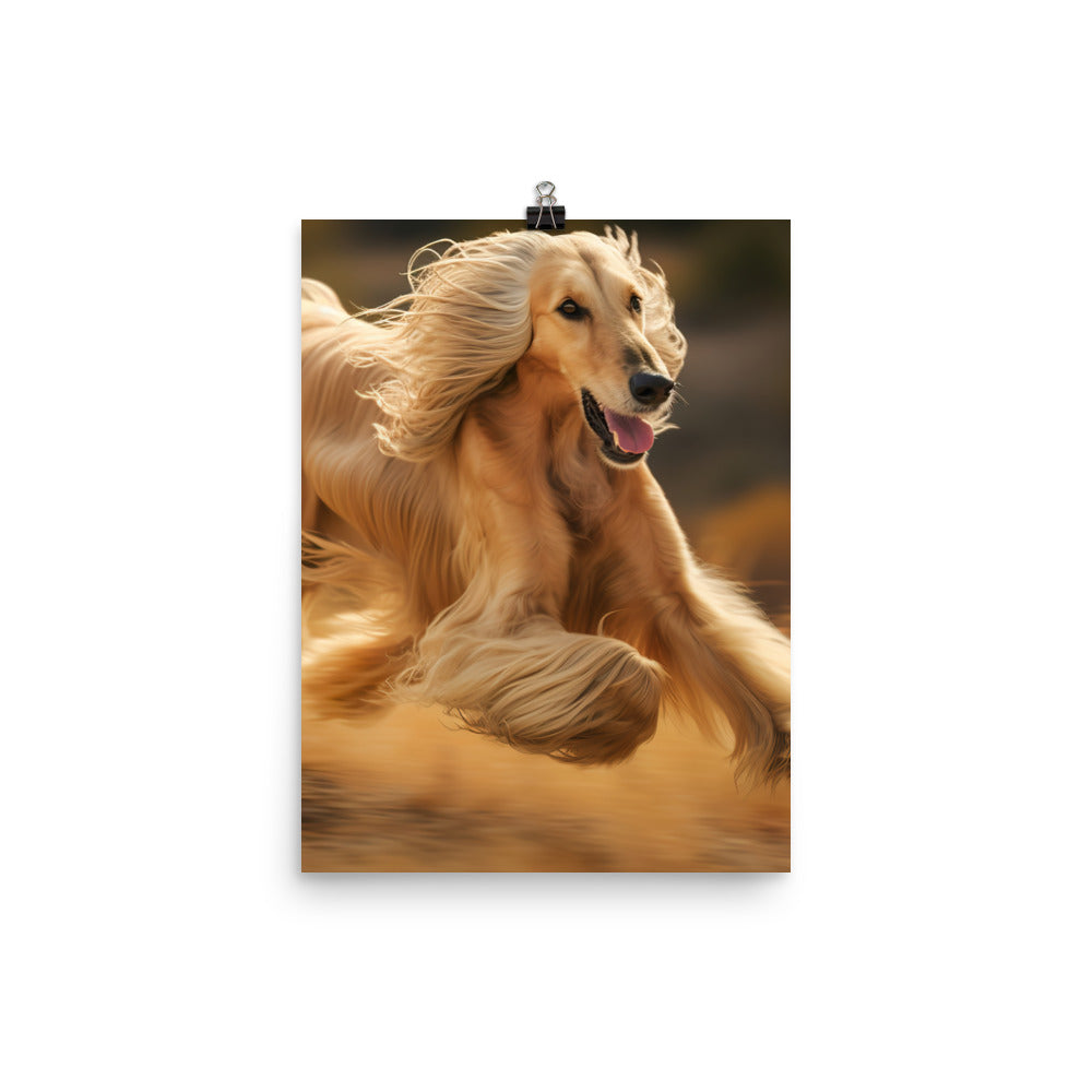 Graceful Afghan Hound in motion Photo paper poster - PosterfyAI.com