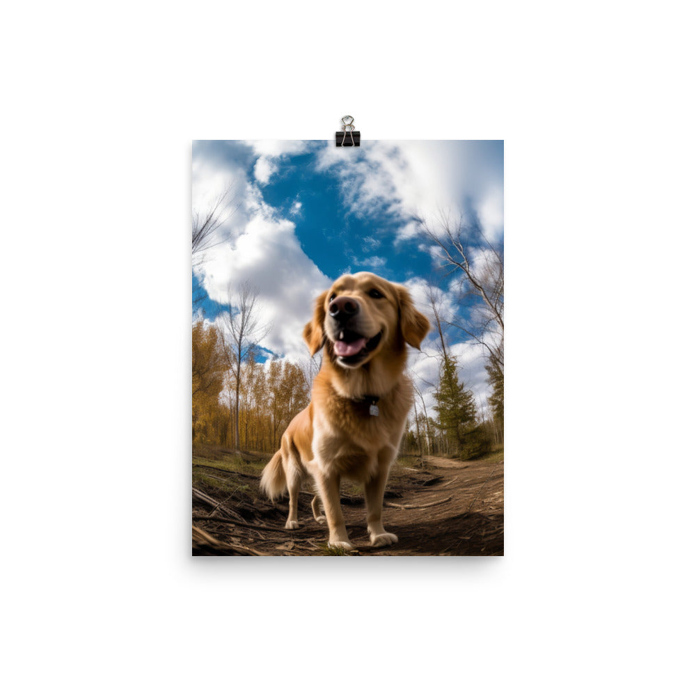 Golden Retriever Photo paper poster - PosterfyAI.com
