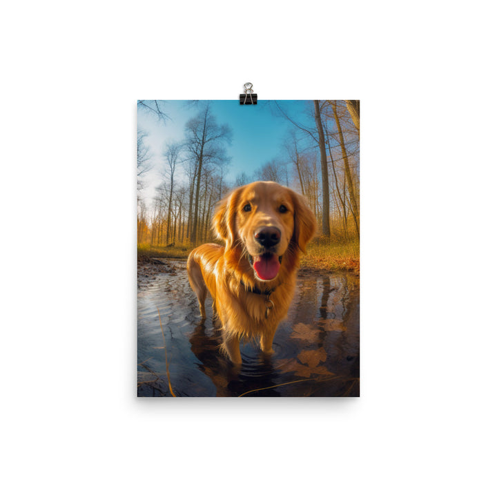 Golden Retriever Photo paper poster - PosterfyAI.com