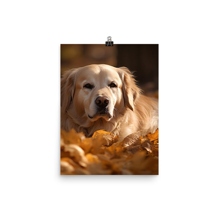 Golden Retriever in the Fall Photo paper poster - PosterfyAI.com