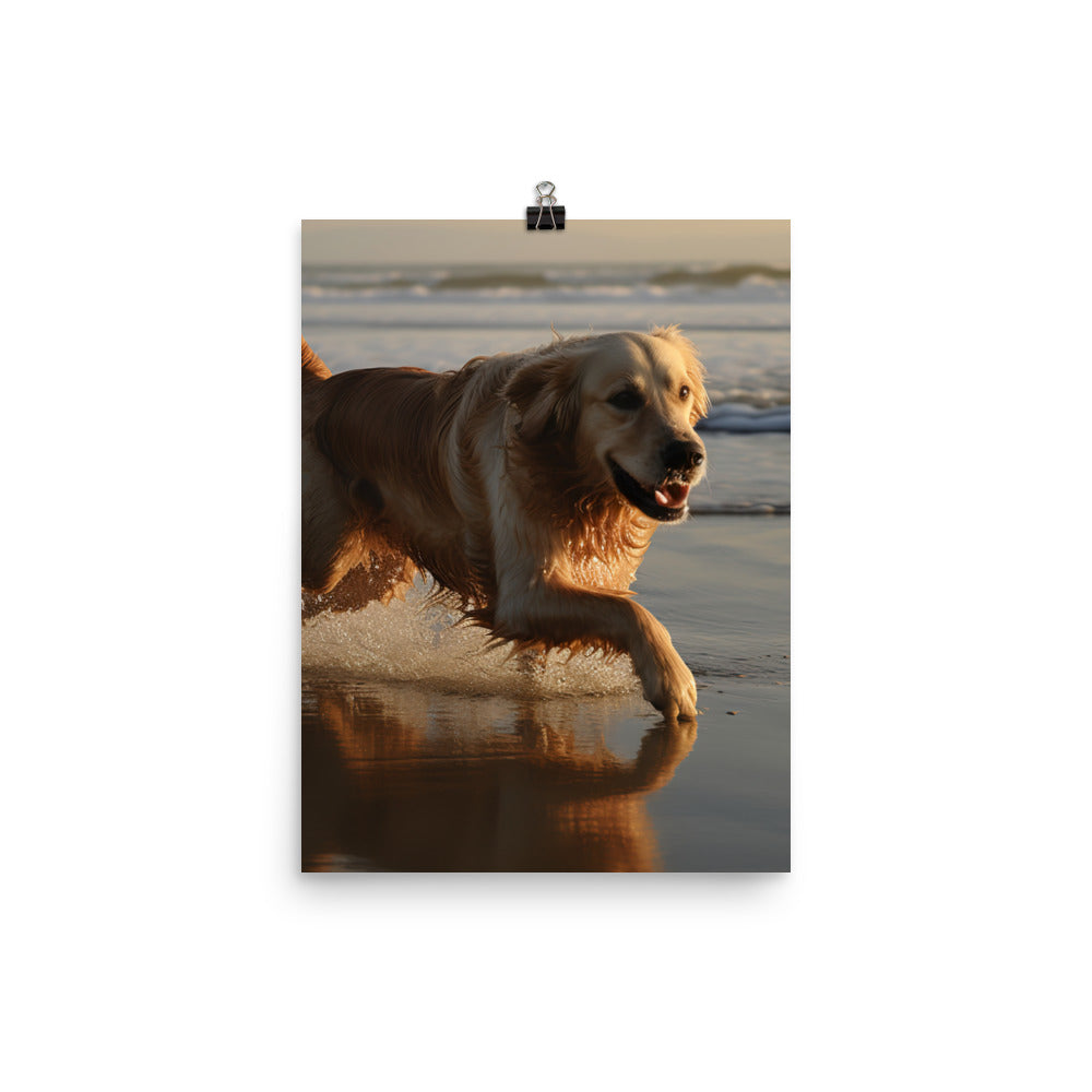 Golden Retriever at the Beach Photo paper poster - PosterfyAI.com