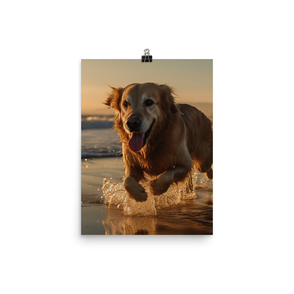 Golden Retriever at the Beach Photo paper poster - PosterfyAI.com