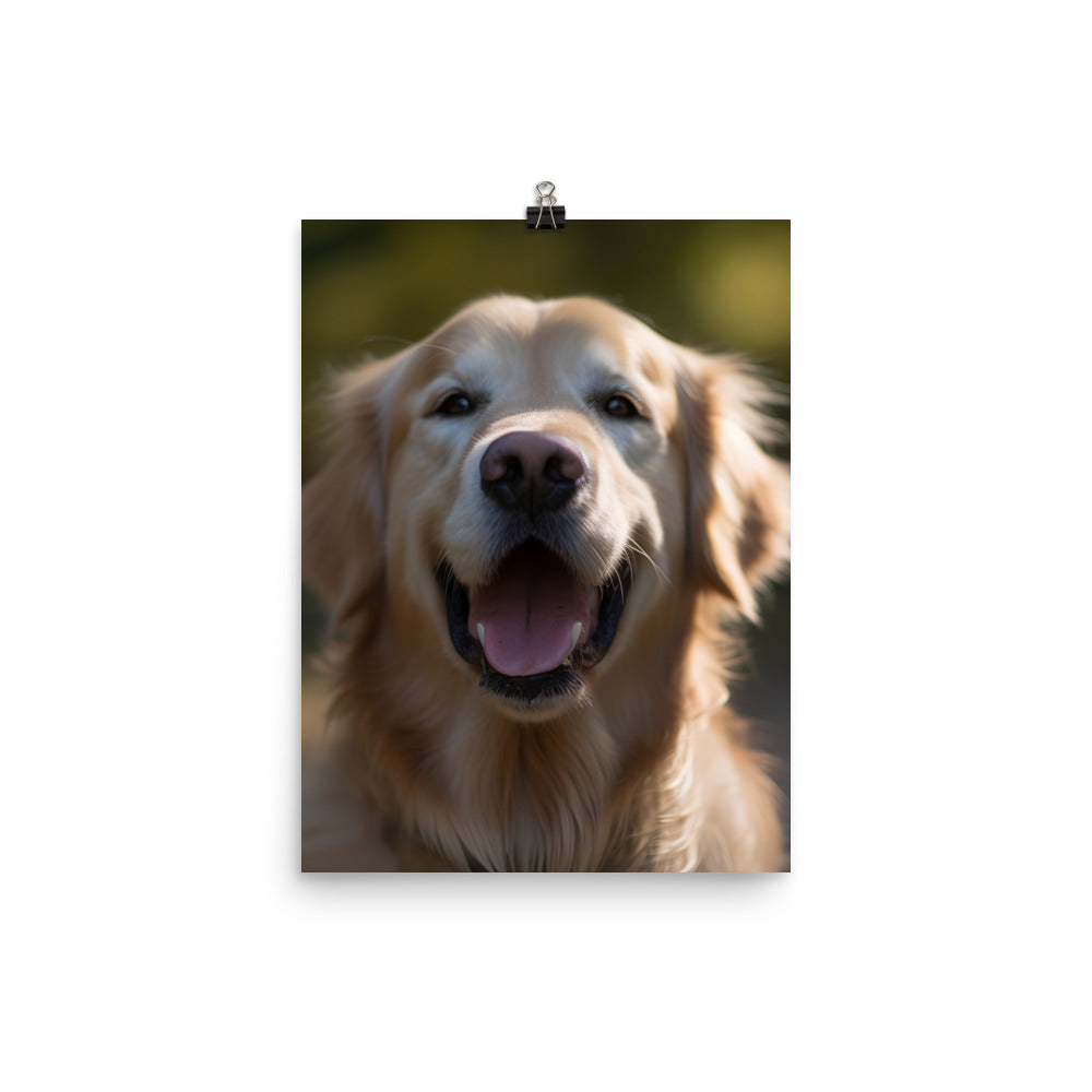 Golden Retriever Photo paper poster - PosterfyAI.com