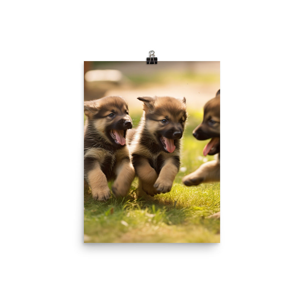 German Shepherd Puppies Photo paper poster - PosterfyAI.com