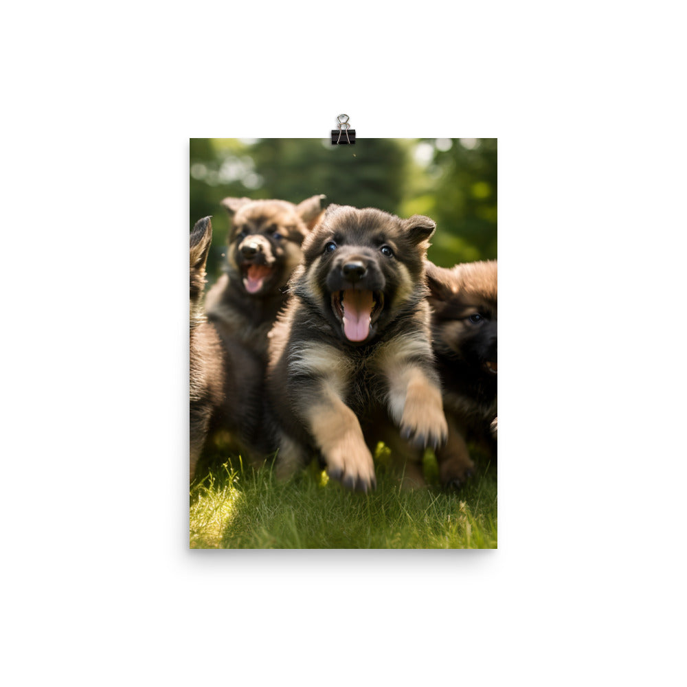 German Shepherd Puppies Photo paper poster - PosterfyAI.com