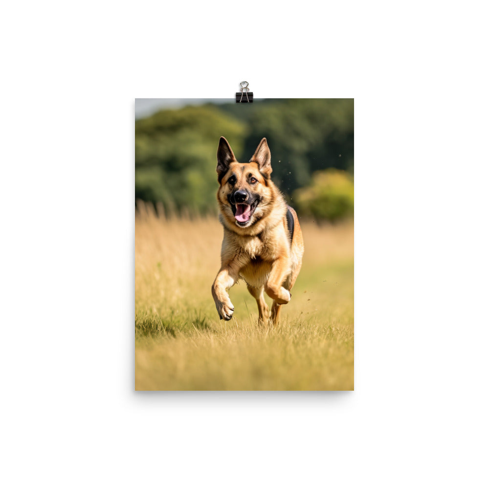 German Shepherd Playtime Photo paper poster - PosterfyAI.com