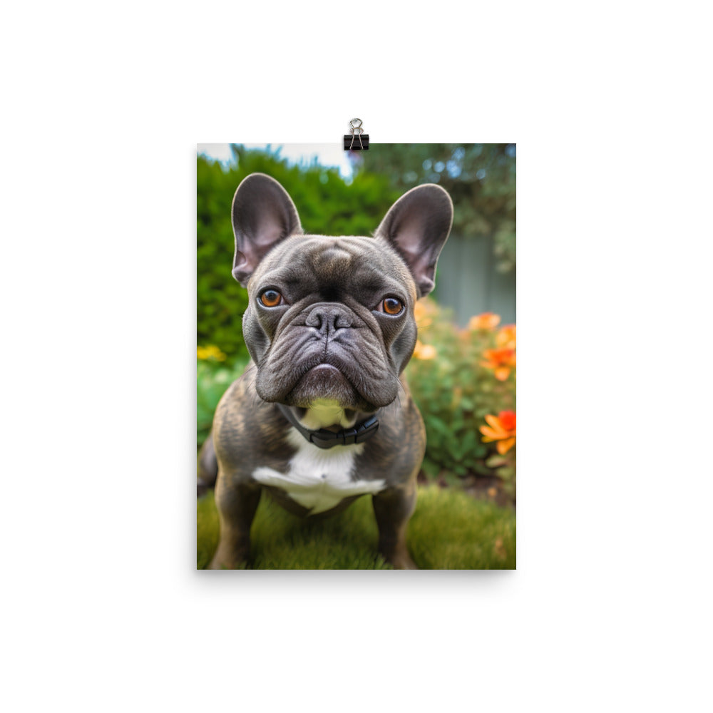 Frenchie in the garden Photo paper poster - PosterfyAI.com